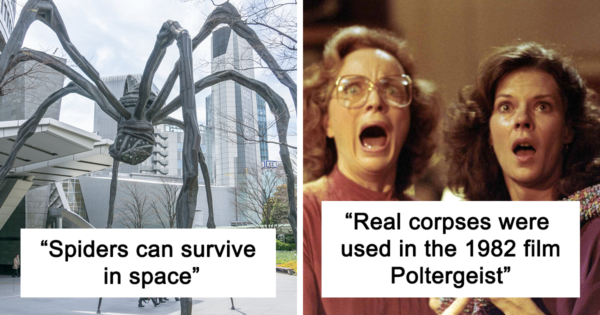 30 Scary Facts That Will Give You The HeebieJeebies Bored Panda