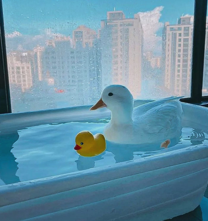 Having A Relaxing Bath