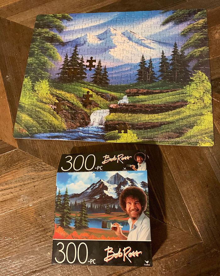 Dollar Store Puzzle. 5 Pieces Missing. Also Not The Same Picture At All