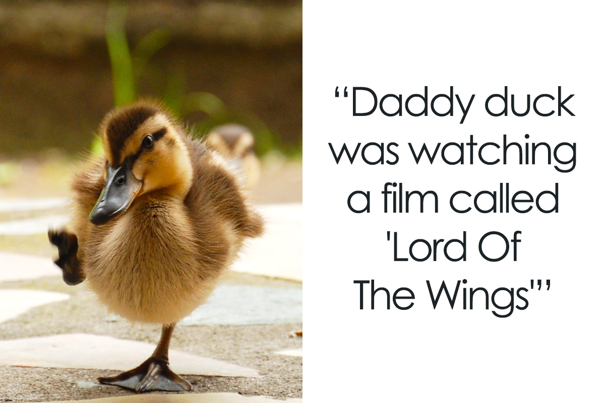 149 Duck Puns That'll Definitely Coax A Giggle Out Of You | Bored Panda
