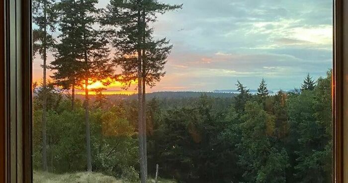 Hey Pandas, Share The Most Confusing Item In Your Home (Closed)