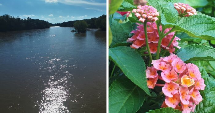 I Took Photos Of Assiniboine Park & English Gardens On A Hot, Muggy Day (25 Pics)
