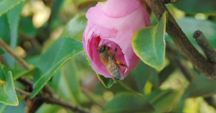 Top 10 Nature Photos By Me