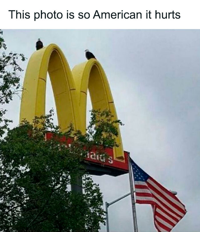 This Photo Is The Epitome Of Murica