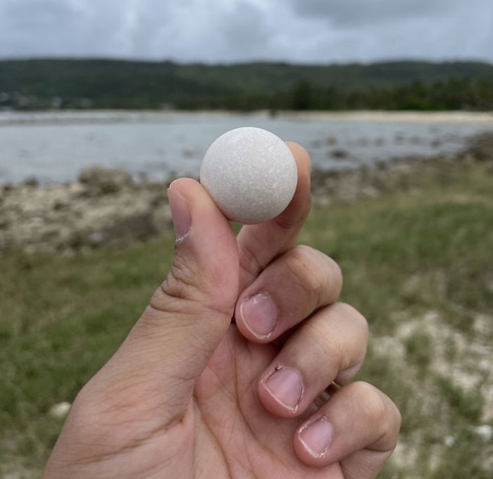 Roca perfectamente redonda que encontré en la playa