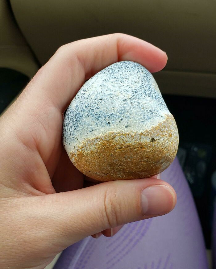 This Rock I Found At The Beach That Looks Like The Beach