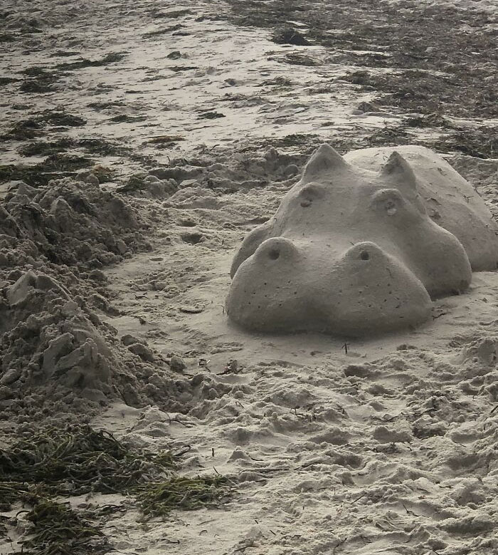 Alguien hizo un hipopótamo de arena en la playa
