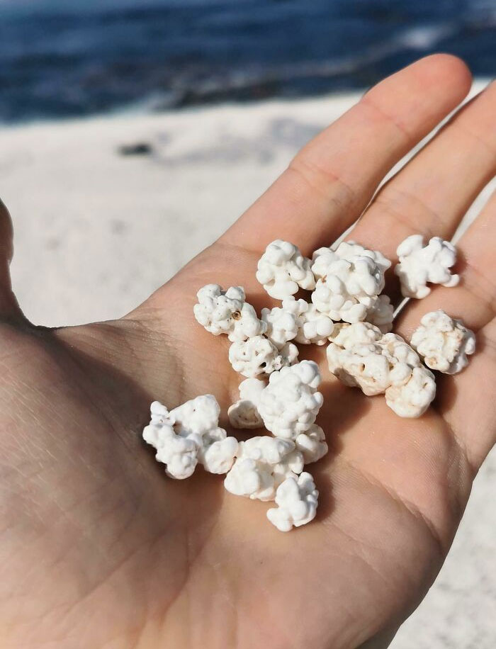 There's A Beach On Fuerteventura That Looks Like It's Made Out Of Popcorn