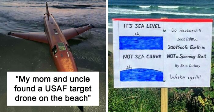 50 Times People Found Unexpected, Interesting, And Bizarre Things At ...