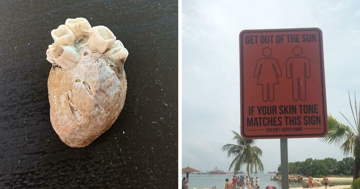 50 Times People Found Unexpected, Interesting, And Bizarre Things At The Beach (New Pics)