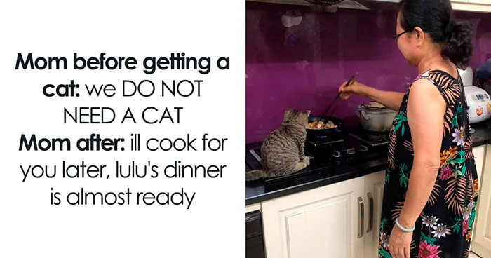 50 Hilarious Posts From The “Memes I Wish I Could Tag My Cat In” Twitter Account (New Pics)