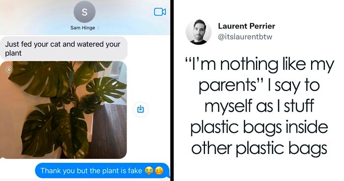 50 Hilarious Memes To Make You Laugh, As Shared On This Popular Instagram Page (New Pics)