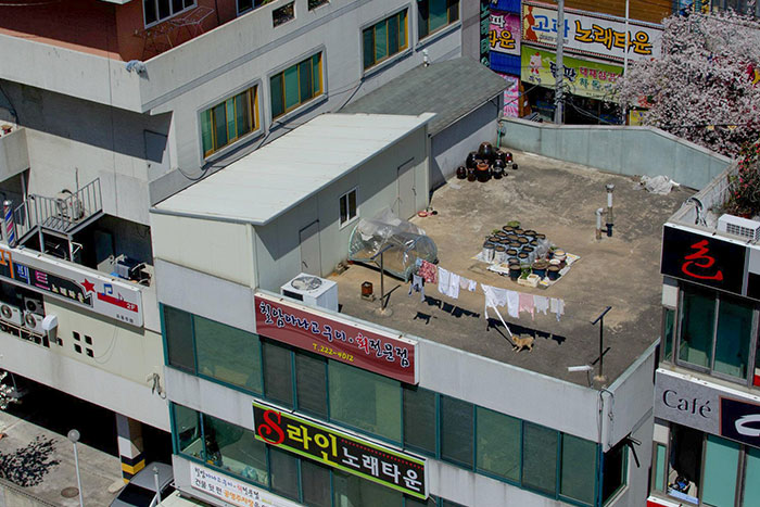 I Took A Pic From My Balcony In Korea. Look Closely At The Clothesline