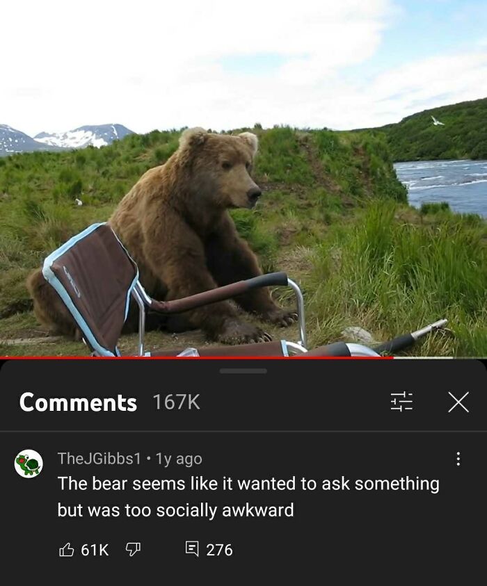 Bear Sits Next To Guy