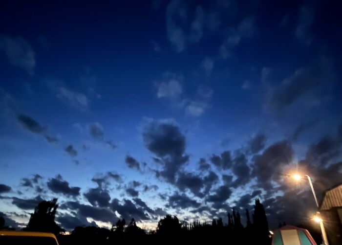 Picture I Took On An iPhone