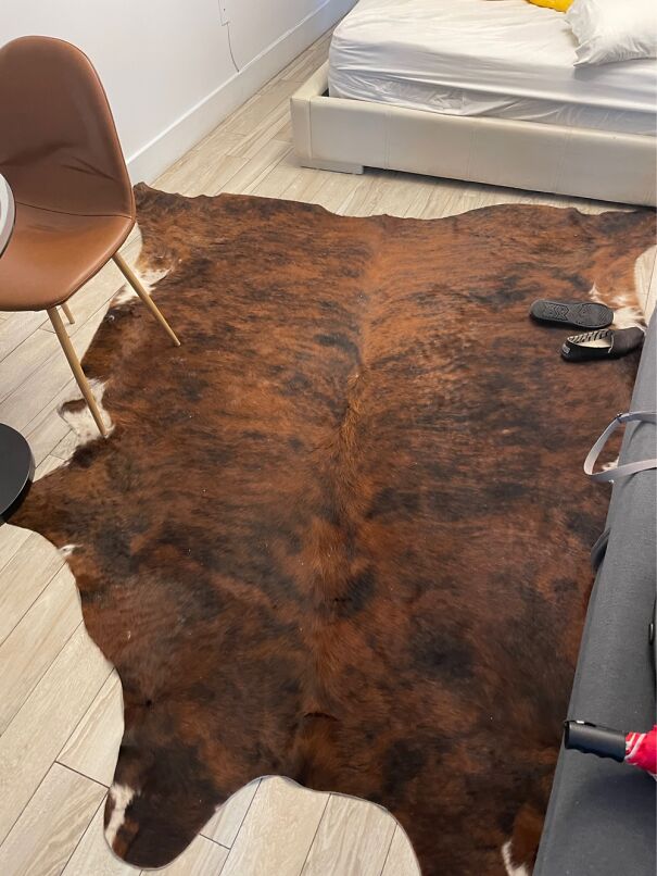 I Know These Are More Common Now But Why Would Anyone Have A Literal Animal Scalp As A Rug?!