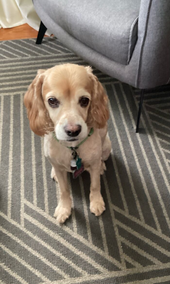 ‘Um, I’m Kinda Over Having To Wait For Dinner…’