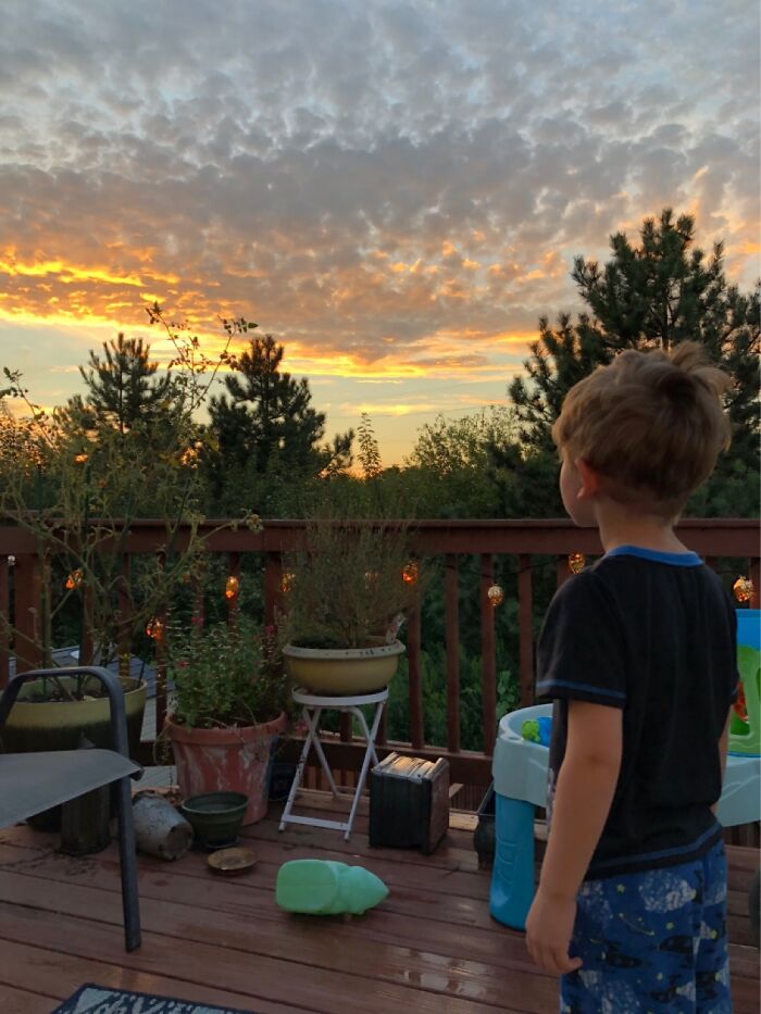 Four Year Old Ponders The Beauty Of Life