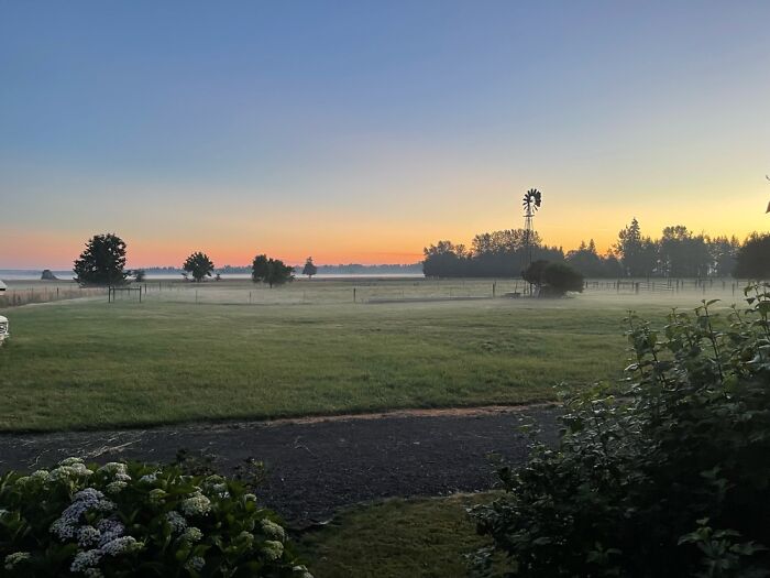 5:30am At Our Farm In The Pacific Northwest.
