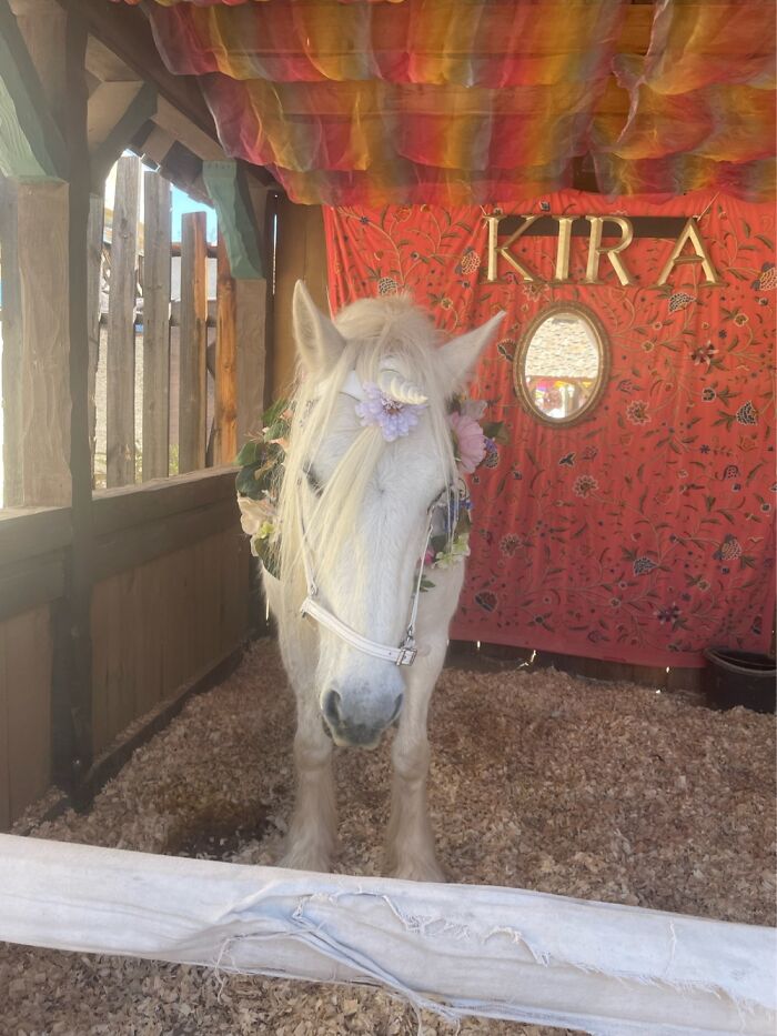Its Kira. The Unicorn