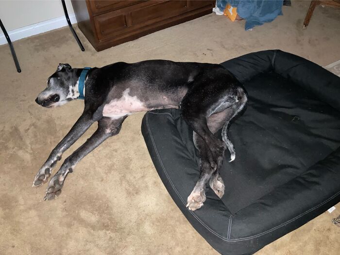 I’m Not Sure What Happened Here