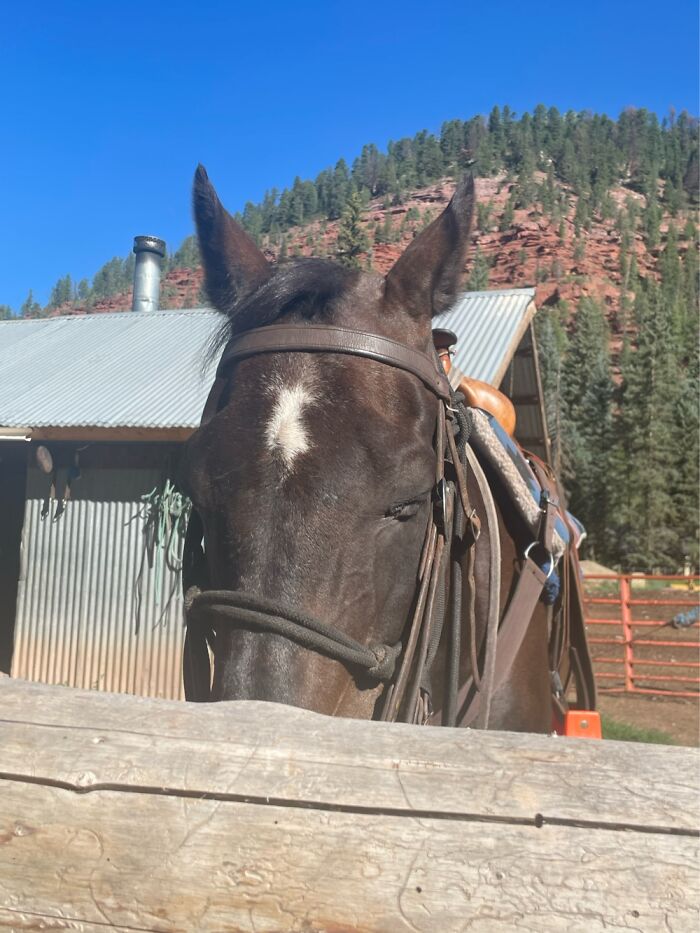 He Closed His Eyes Lol