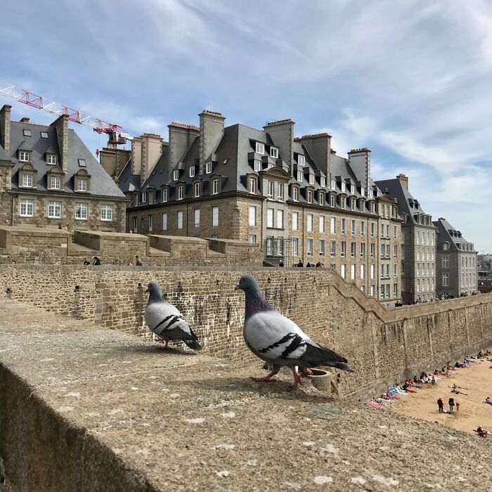 Taking Pictures Is My Favorite Past Time. Birds Are Great At Posing Casually ;)