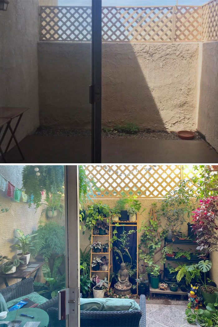 ¡El antes y el después! Pasaron 2 años desde que empecé con mi jardín. Es mi parte favorita del apartamento. Me siento muy afortunada