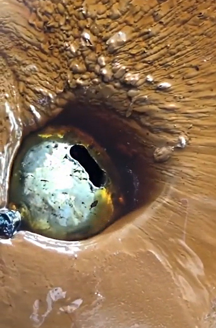 30 Interesting Tools That Only People In Very Specific Fields Get To See (New Pics) 30 Interesting Tools That Only People In Very Specific Fields Get To See (New Pics)