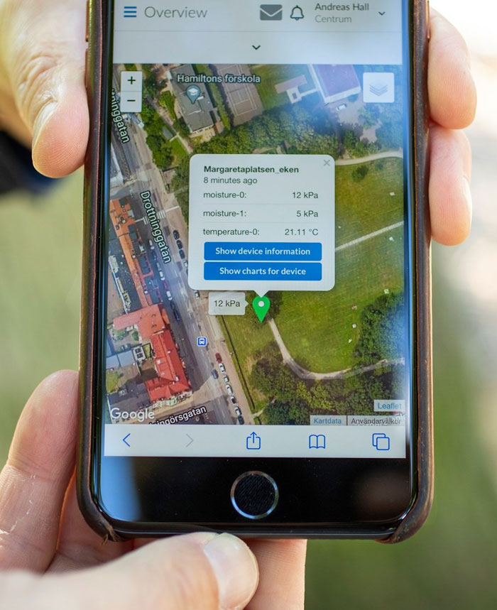 En Suecia, los árboles pueden enviar mensajes de texto cuando necesitan agua mediante un sensor de humedad que tienen implantado