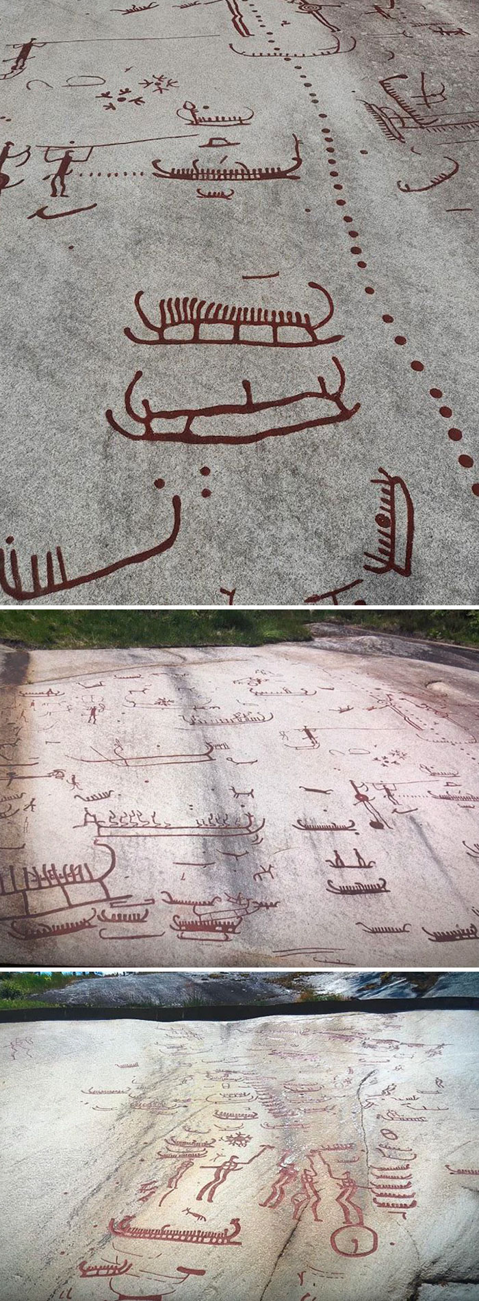 3,500-Year-Old Petroglyphs Found In Tanum, Sweden. Some Of The Carvings Are Boats, Animals, People And Mythological Creatures