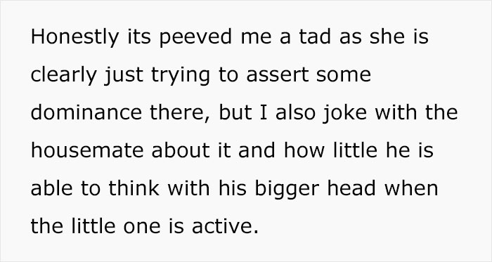 Drama Ensues After This Guy Tells Roommate His Entitled Girlfriend Can't Stay Over Anymore Drama Ensues After This Guy Tells Roommate His Entitled Girlfriend Can't Stay Over Anymore