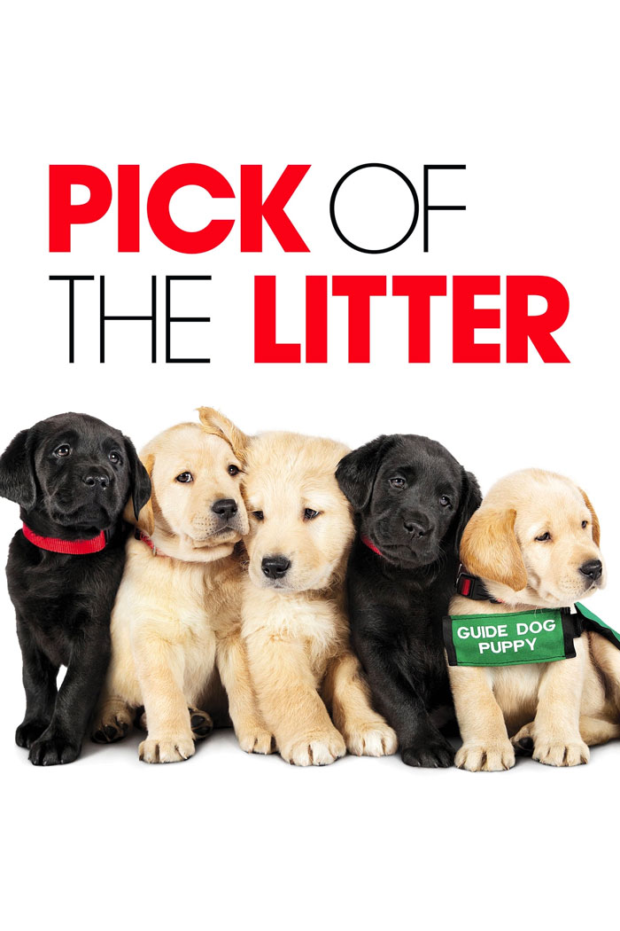 Movie poster for "Pick Of The Litter"