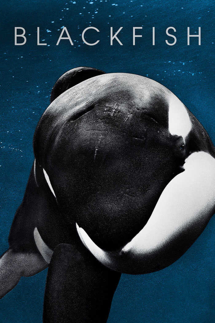Movie poster for "Blackfish"
