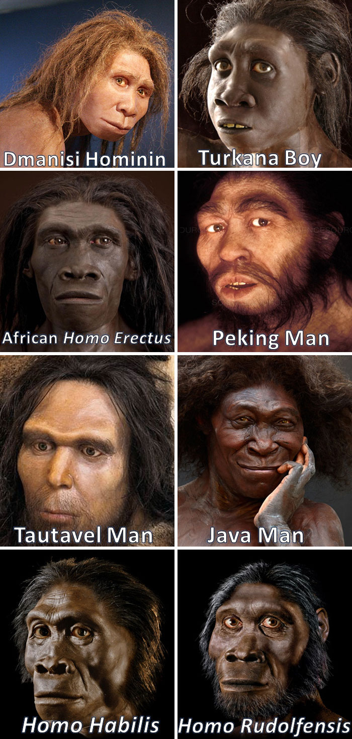 The Diversity Among Homo Erectus Around The World. Homo Erectus Existed For 1.9 Million Years And Was The Most Successful Human Species