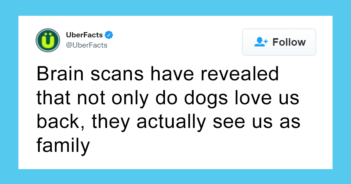 90 Random And Interesting Facts Shared On This Wildly Popular Twitter Page (New Pics) - Vimarsana News