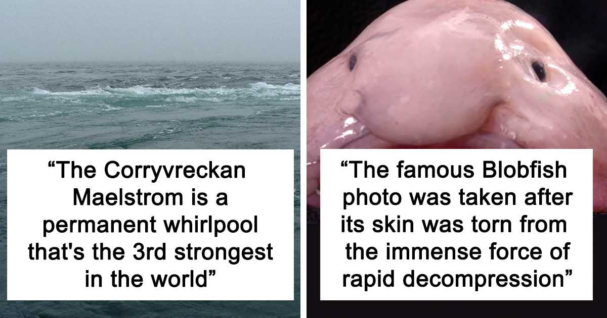 23 Fascinating, Weird Or Even Scary Facts About The Ocean People In This  Online Group Decided To Share