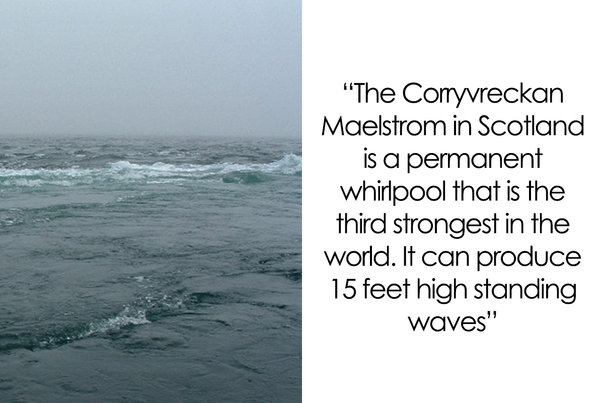 23 Fascinating, Weird Or Even Scary Facts About The Ocean People In This  Online Group Decided To Share