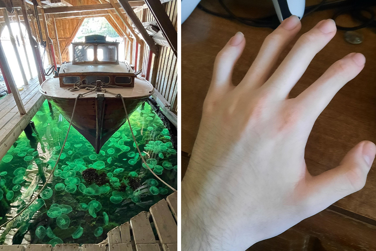 50 ‘Mildly Interesting’ Things You May Have Never Seen Before, As