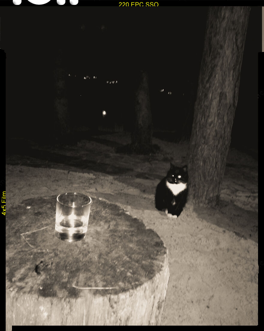 The Forgotten War The Forgotten War