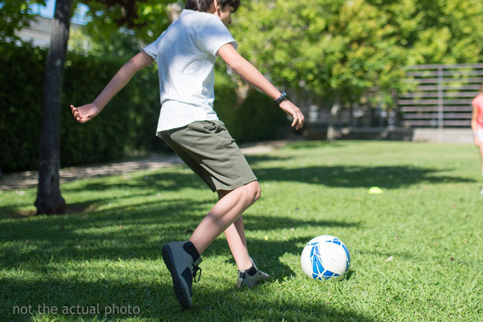 Person Refuses To Put Up With Neighbor’s Kid After One Of The Balls He’s Constantly Kicking Over The Fence Hits Their Puppy
