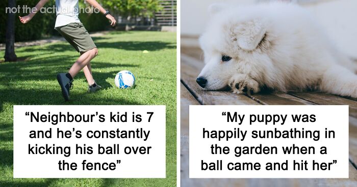 Person Refuses To Put Up With Neighbor’s Kid After One Of The Balls He’s Constantly Kicking Over The Fence Hits Their Puppy