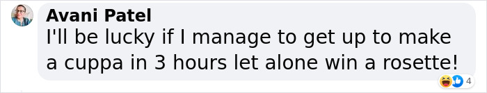 Dog Runs Away From Home And Returns With Dog Show Rosette Dog Runs Away From Home And Returns With Dog Show Rosette