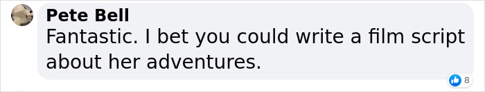 Dog Runs Away From Home And Returns With Dog Show Rosette Dog Runs Away From Home And Returns With Dog Show Rosette