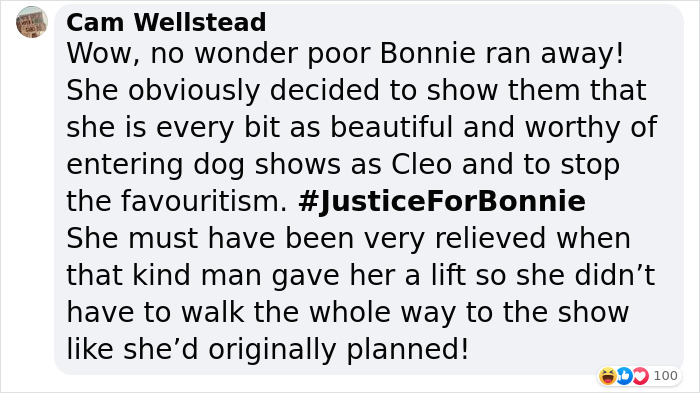 Dog Runs Away From Home And Returns With Dog Show Rosette Dog Runs Away From Home And Returns With Dog Show Rosette