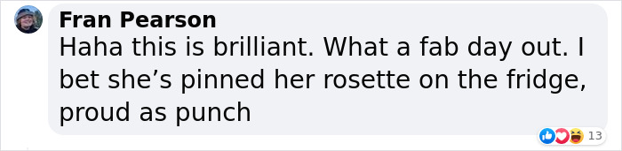 Dog Runs Away From Home And Returns With Dog Show Rosette Dog Runs Away From Home And Returns With Dog Show Rosette