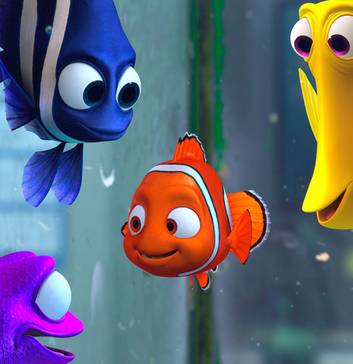 Nemo talking with fishes in the aquarium 