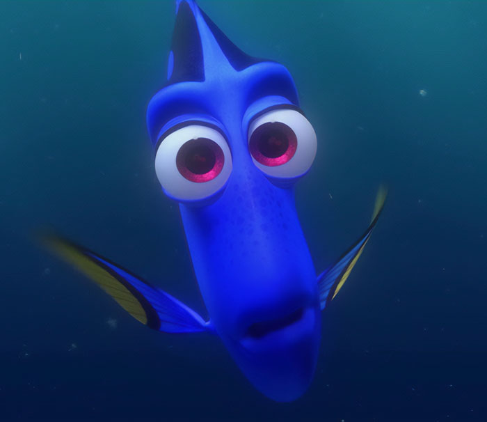 Dory swimming in the ocean 