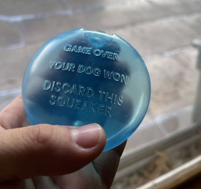 This Message Stamped On The Squeaker Inside The Stuffed Animal My Dog Just Destroyed