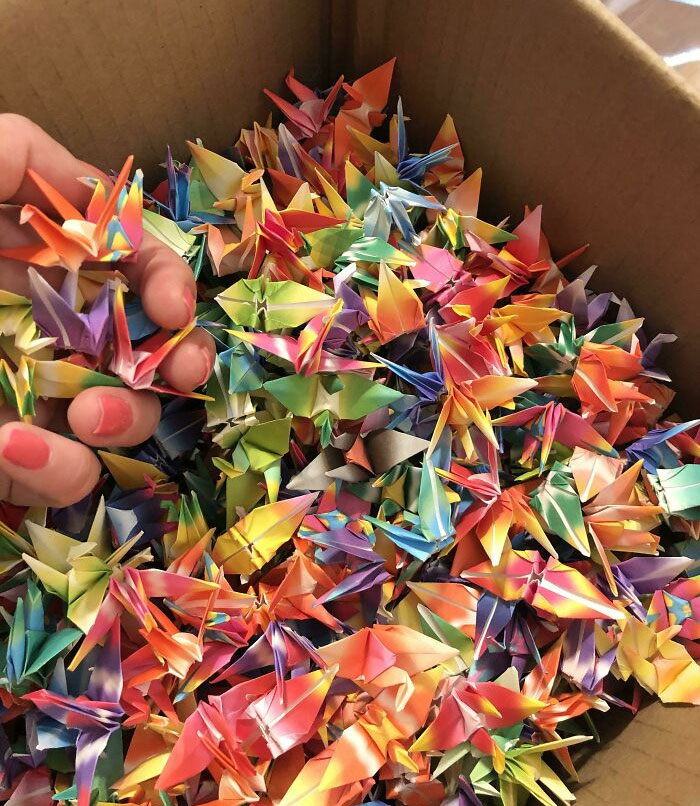 My Husband Ordered A Used Laptop And It Arrived Completely Packed In Little Paper Cranes